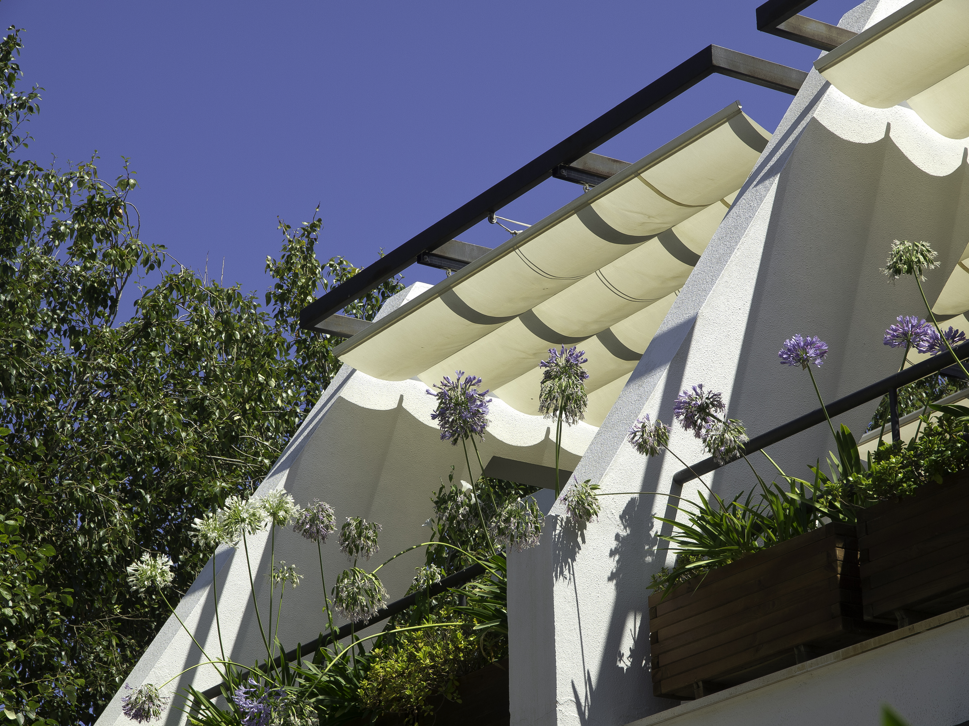 Inicio-Nuestra historia